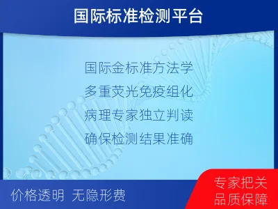 万安-PD-L1E1L3N表达检测-检测流程