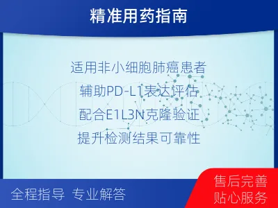 港南-PD-L1E1L3N表达检测-报告解读