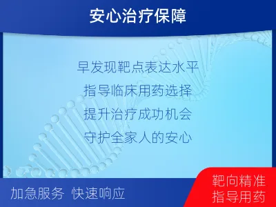 天全-PD-L1E1L3N表达检测-检测流程