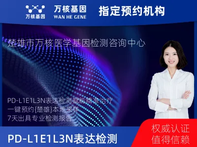 PD-L1E1L3N表达检测