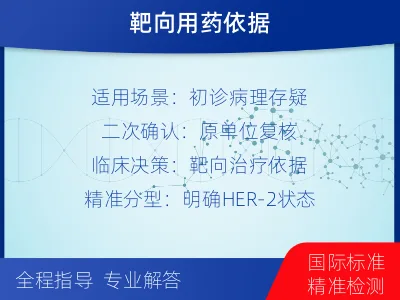 桃城-HER2病理会诊-报告解读