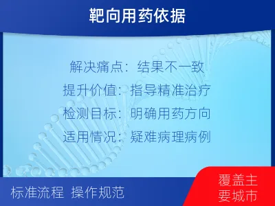 红谷滩-HER2病理会诊-检测流程