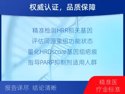 文成-同源重组修复缺陷检测-检测介绍