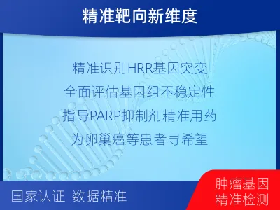 德清-同源重组修复缺陷检测-检测流程