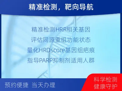 泰和-同源重组修复缺陷检测-检测介绍