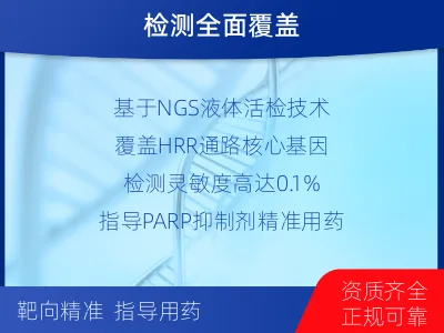 武强-HRR基因检测-检测流程