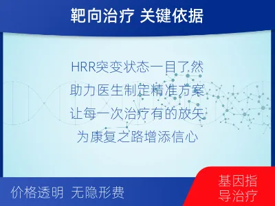 潘集-HRR基因检测-检测流程