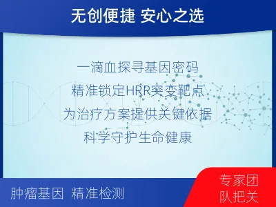 恩施-HRR基因检测-报告解读