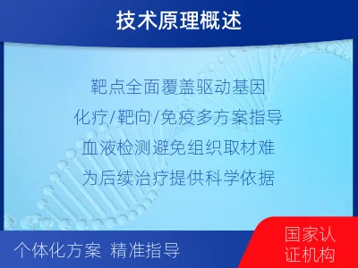 安国-肿瘤全面用药600综合检测-适用人群