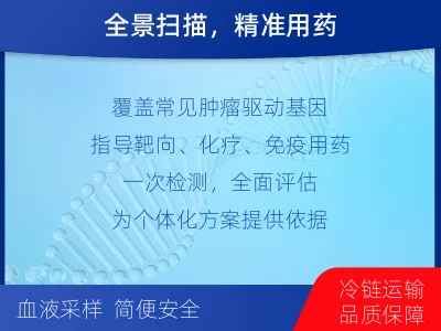 永清-肿瘤全面用药600综合检测-检测流程