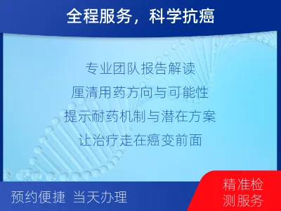 绛-肿瘤全面用药600综合检测-检测流程