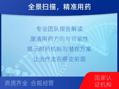 忻府-肿瘤全面用药600综合检测-检测流程