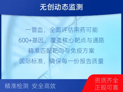 白云鄂博矿-肿瘤全面用药600综合检测-检测流程