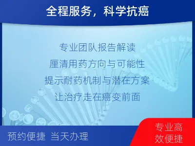 沈河-肿瘤全面用药600综合检测-检测流程