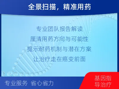 旅顺口-肿瘤全面用药600综合检测-报告解读