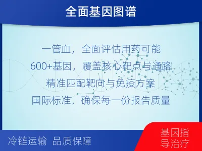 依安-肿瘤全面用药600综合检测-检测介绍