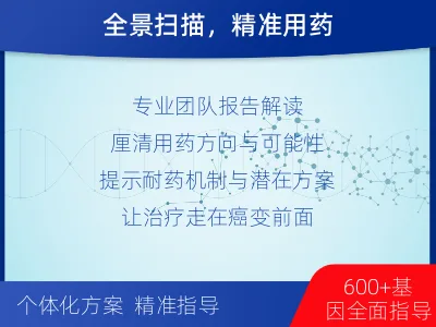 京口-肿瘤全面用药600综合检测-报告解读