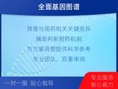海盐-肿瘤全面用药600综合检测-检测流程