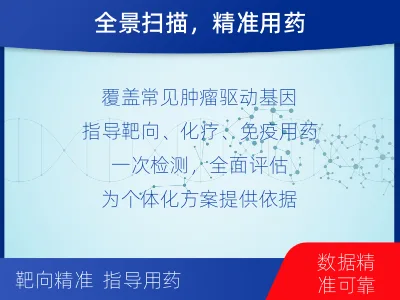 蚌埠-肿瘤全面用药600综合检测-适用人群