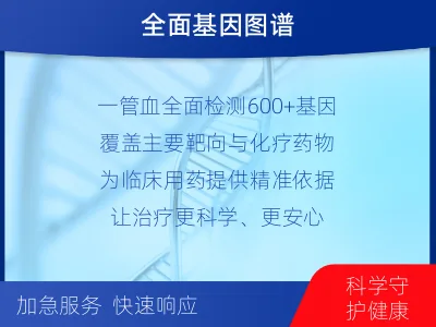 肿瘤全面用药600+基因检测（血液）