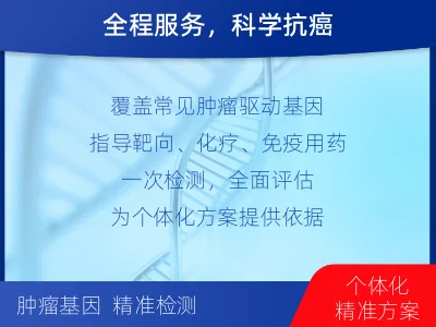 建宁-肿瘤全面用药600综合检测-检测流程