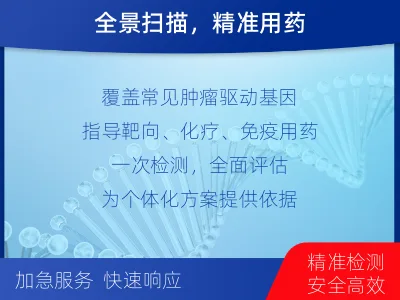 邵武-肿瘤全面用药600综合检测-检测流程