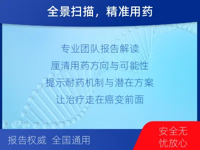浮梁-肿瘤全面用药600综合检测-检测流程