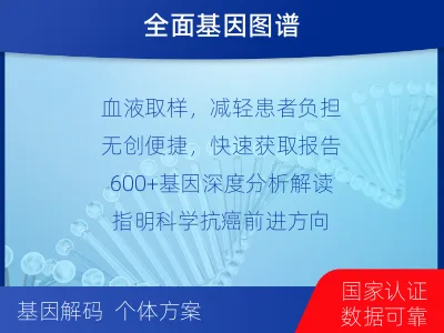 彭泽-肿瘤全面用药600综合检测-适用人群