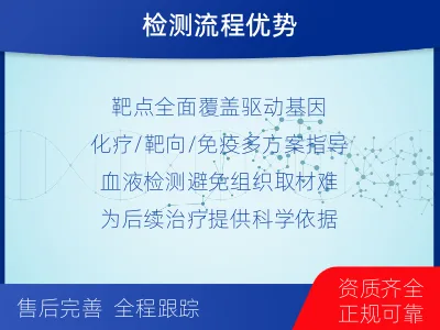 滑-肿瘤全面用药600综合检测-检测流程