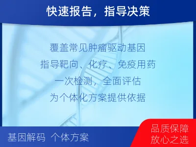 山城-肿瘤全面用药600综合检测-检测介绍