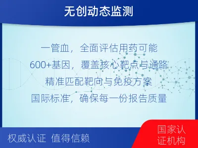 宁乡-肿瘤全面用药600综合检测-检测流程