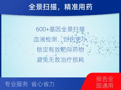 邵东-肿瘤全面用药600综合检测-检测介绍