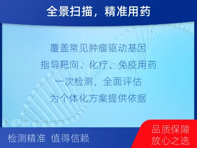 临湘-肿瘤全面用药600综合检测-检测流程