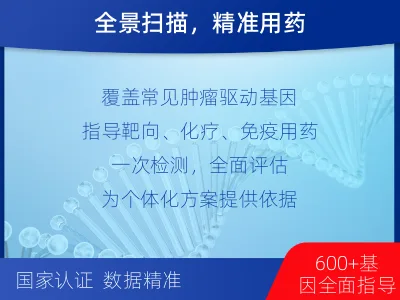 肿瘤全面用药600+基因检测（血液）