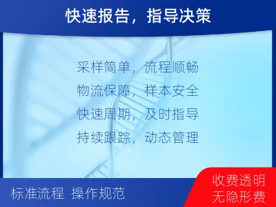 顺庆-肿瘤全面用药600综合检测-检测流程