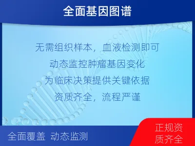 八宿-肿瘤全面用药600综合检测-检测流程