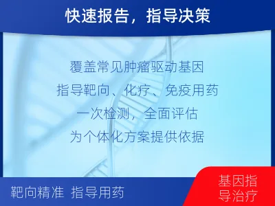 玛多-肿瘤全面用药600综合检测-检测流程