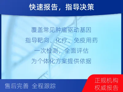 英吉沙-肿瘤全面用药600综合检测-报告解读