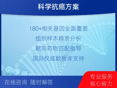耒阳-肿瘤180综合检测-检测流程