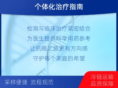 三山-肿瘤靶向基因检测-报告解读