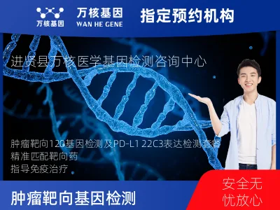 肿瘤靶向120基因检测及PDL122C3表达检测套餐（组织）