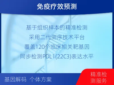 宣恩-肿瘤靶向基因检测-检测介绍