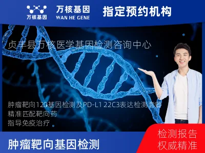 肿瘤靶向120基因检测及PDL122C3表达检测套餐（组织）