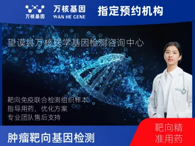 肿瘤靶向120基因检测及PDL122C3表达检测套餐（组织）