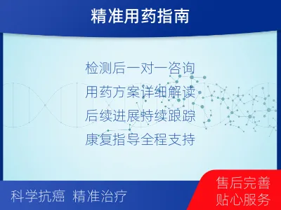 双清-肿瘤靶向基因检测-检测流程