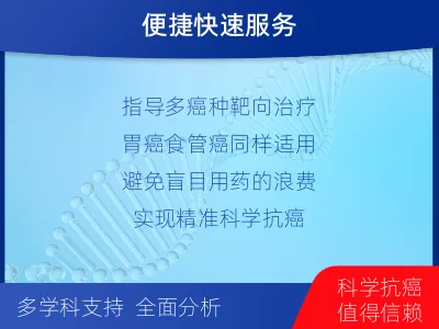 长岭-HER2检测-适用人群