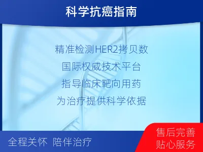 建邺-HER2检测-报告解读