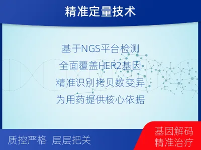 德兴-HER2检测-检测流程