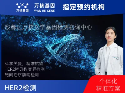 HER2拷贝数变异检测