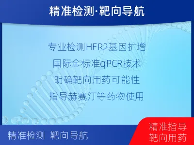 贵港-HER2检测-检测流程